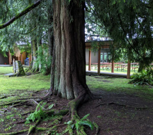 Camp Huston, covered walkway to Main Lodge & Dining Room. (by Harriott Balmer)