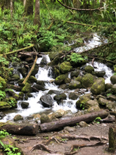 Camp Huston, Wallace Falls Trail past small waterfall. (by Susan Perkins)